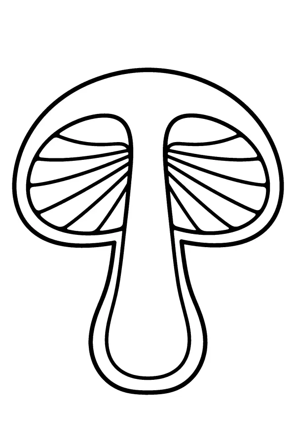 Split Cap Mushroom
