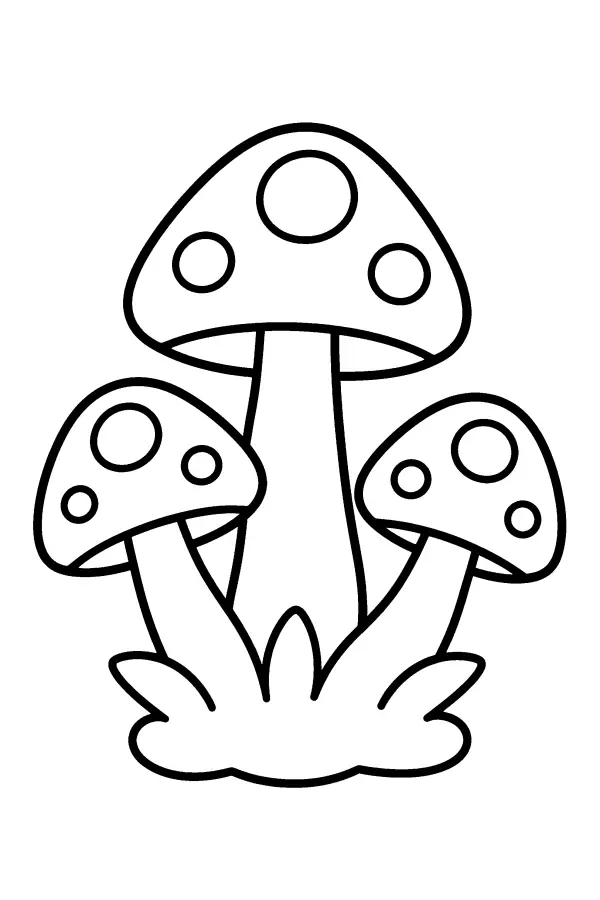 Three Mushrooms