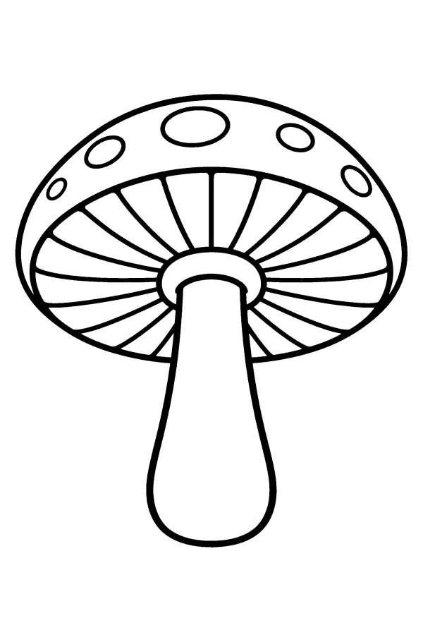 Under the Mushroom