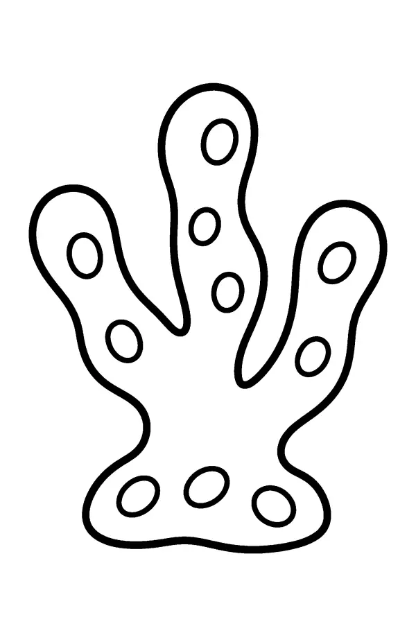 Branching Coral Head
