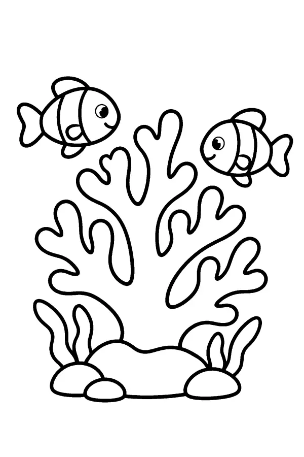 Coral And Fish