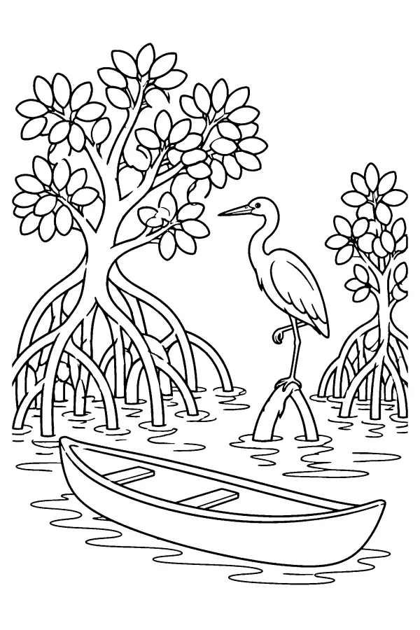 Mangrove Canoe Heron