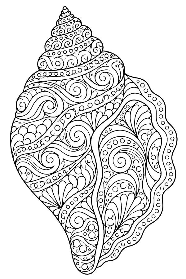 Patterned Spiral Shell