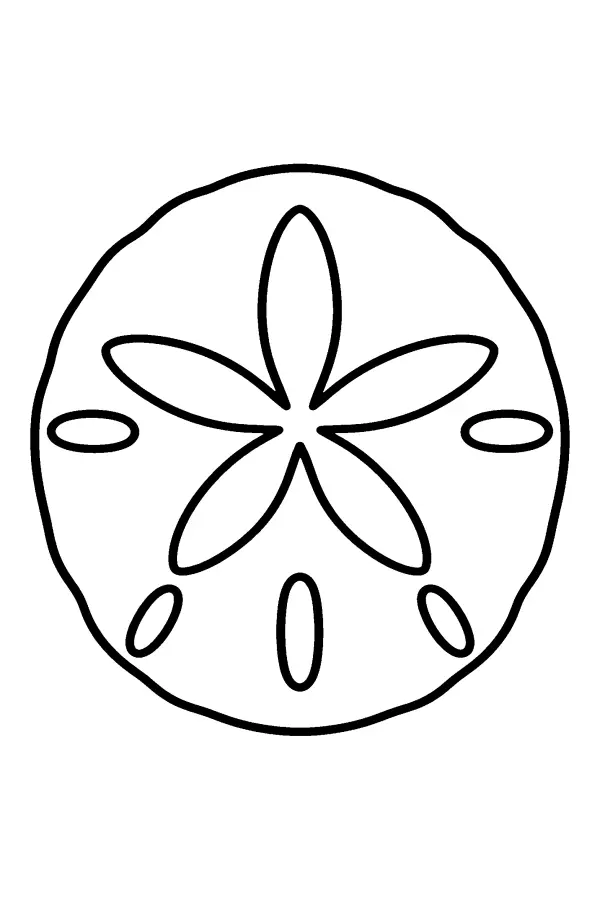 Star Pattern Sand Dollar