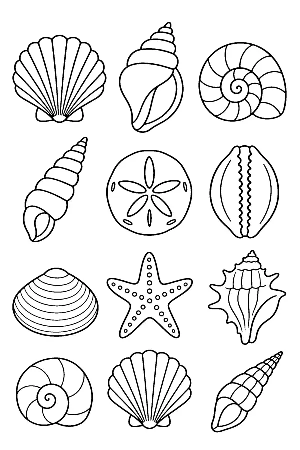 Twelve Shell Grid