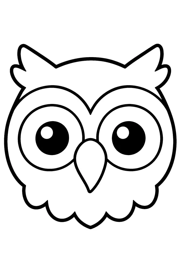 Big Eyed Owl