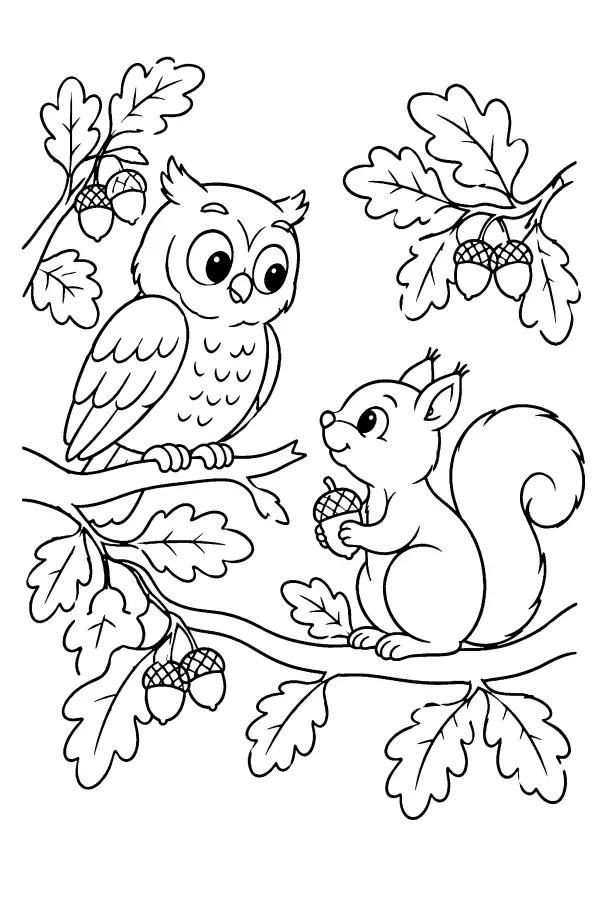 Owl And Squirrel Branches