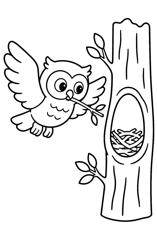 Owl At Nest