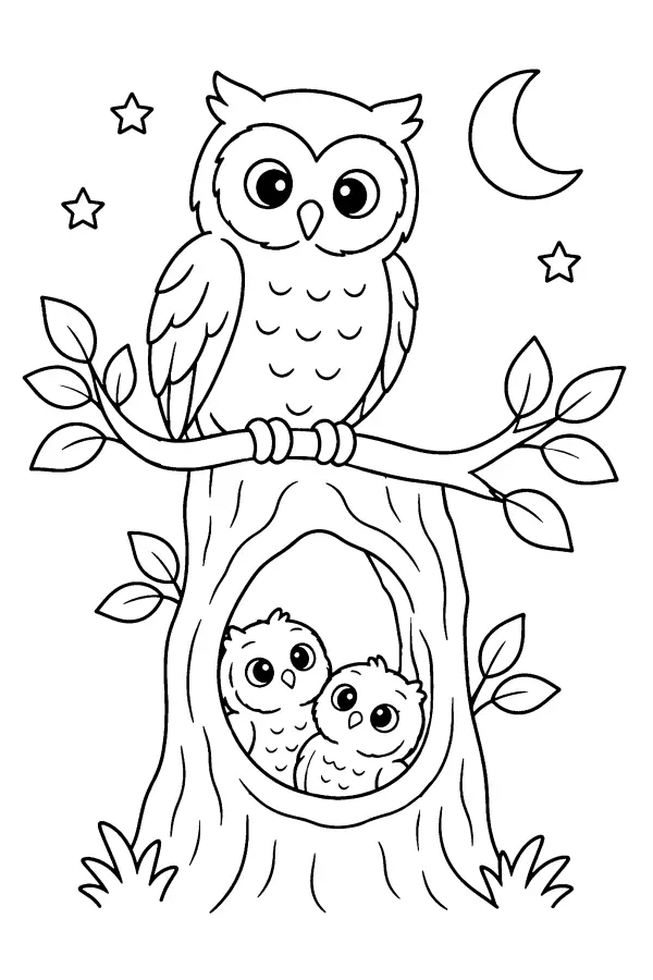 Owl Family Hollow