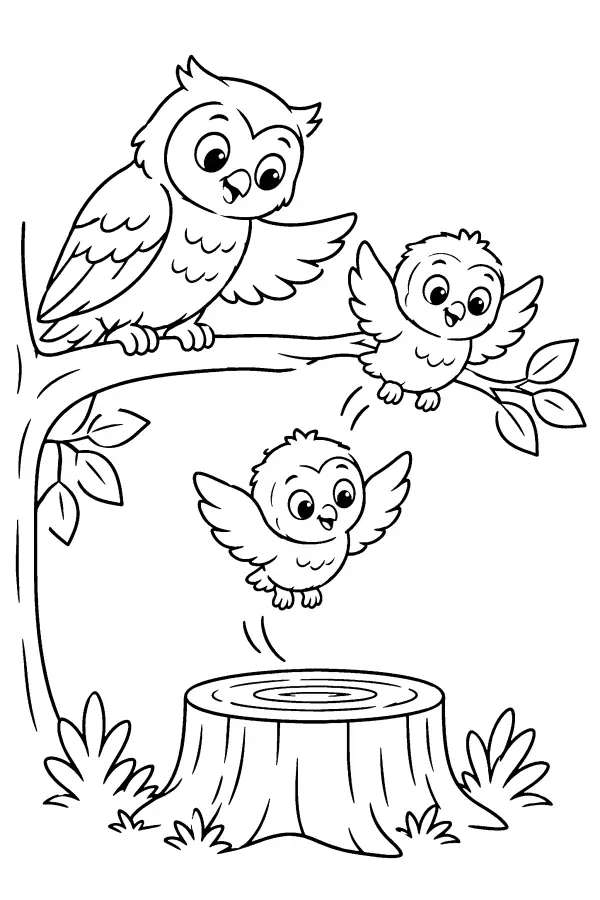 Owl Flight Lesson