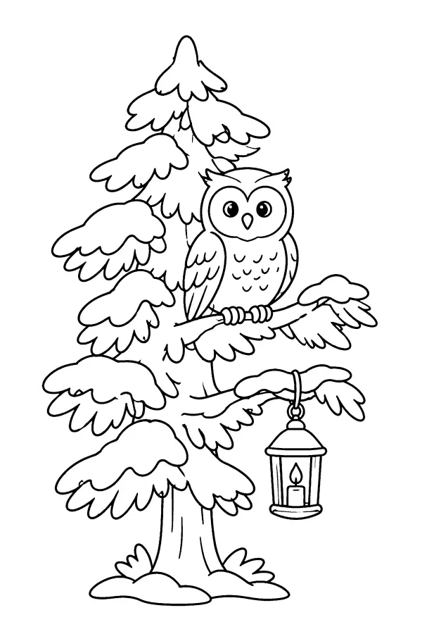 Owl In Snowy Pine