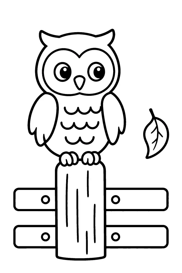 Owl On Fence Post