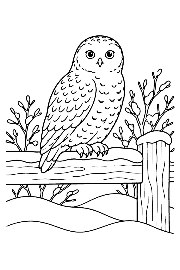 Owl On Snowy Fence
