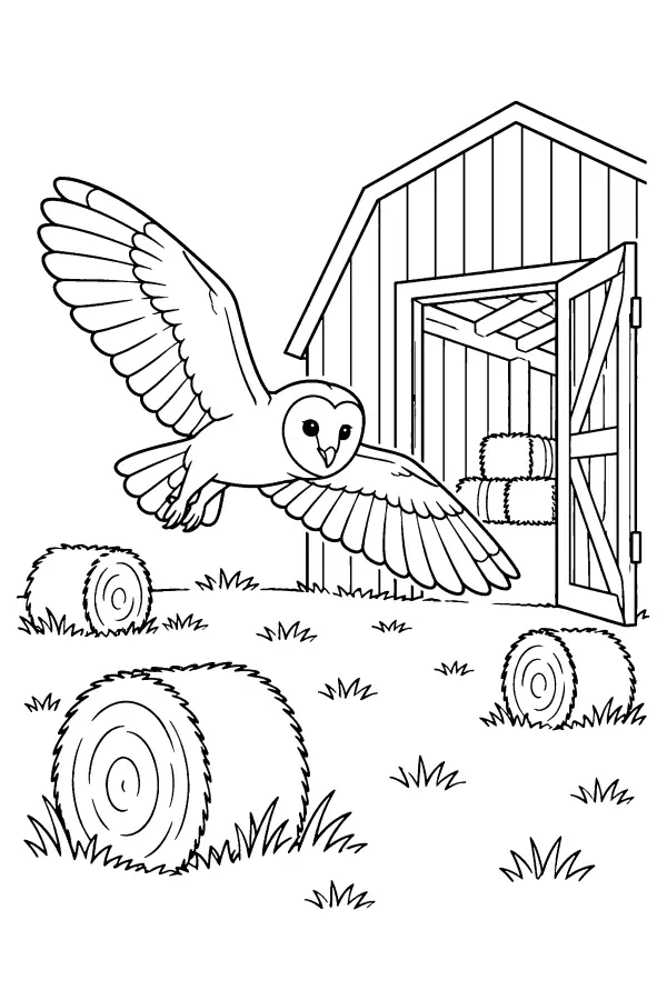 Owl Over Hayfield