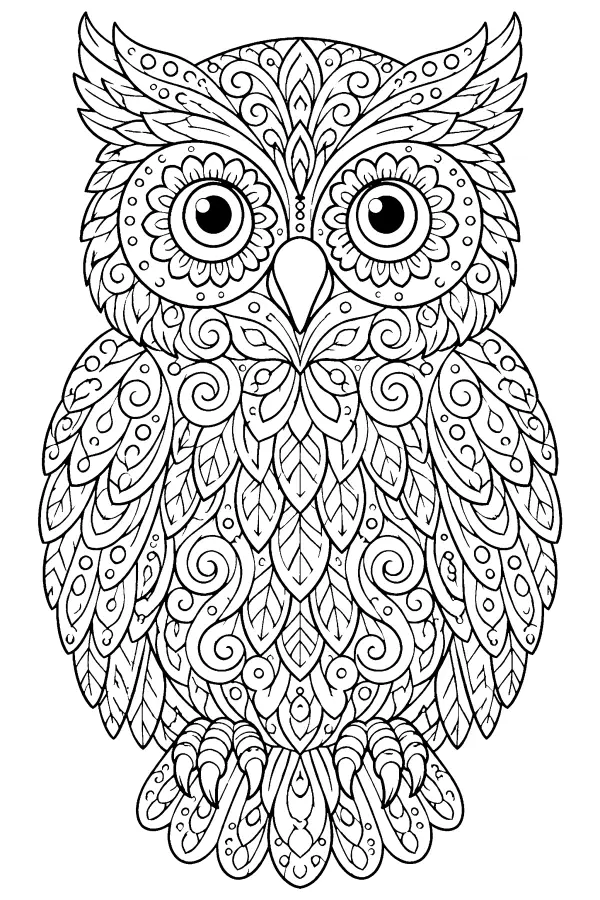 Patterned Owl Mandala