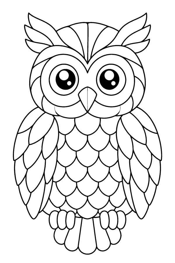 Patterned Owl Portrait