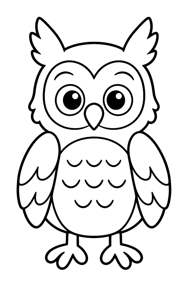 Wide Eyed Owl