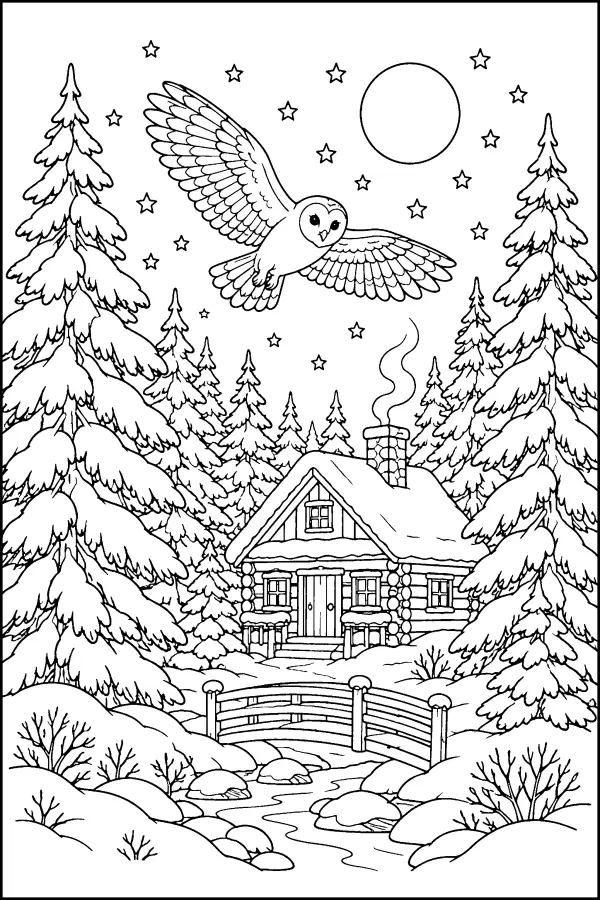 Winter Cabin Flight