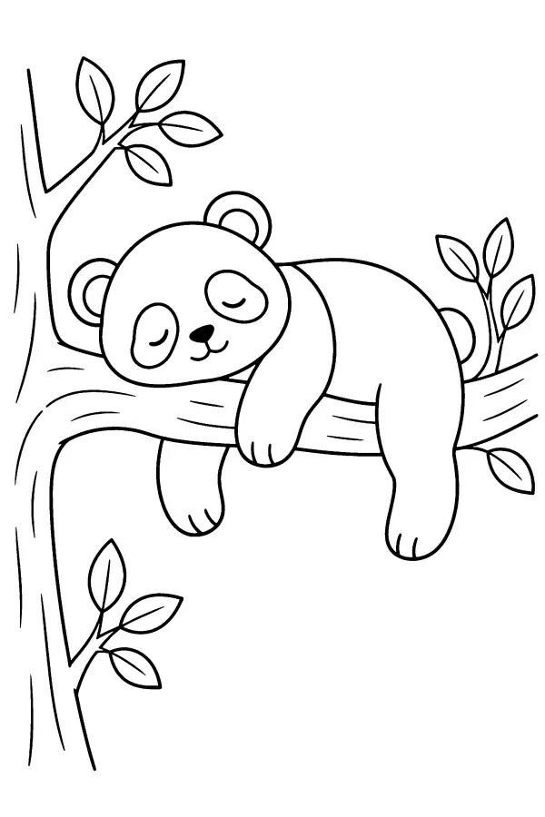 Branch Napping Panda