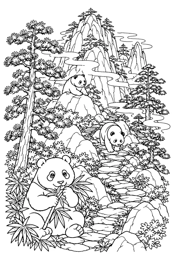 Misty Panda Mountain