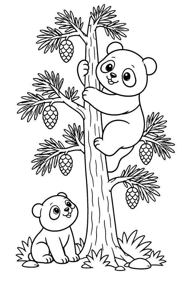 Panda Pine Adventure