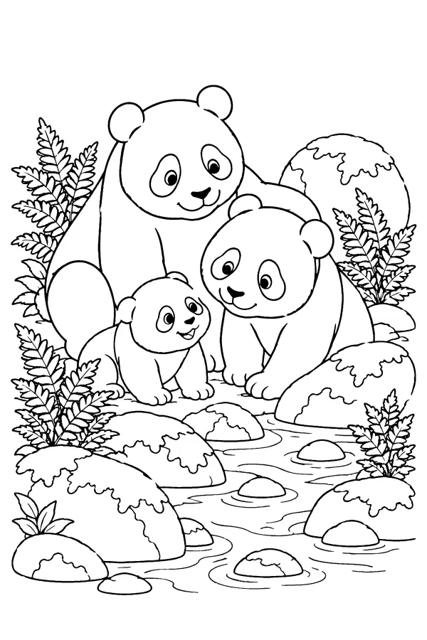 Panda Stream Family