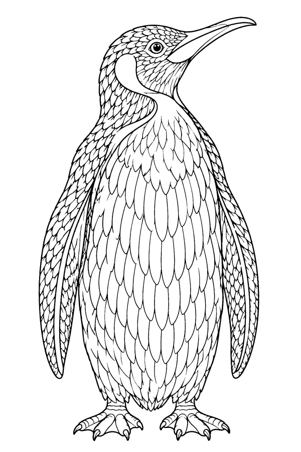 King Penguin Portrait