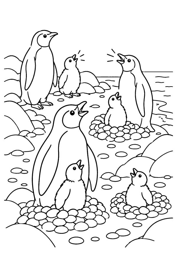 Rocky Shore Colony