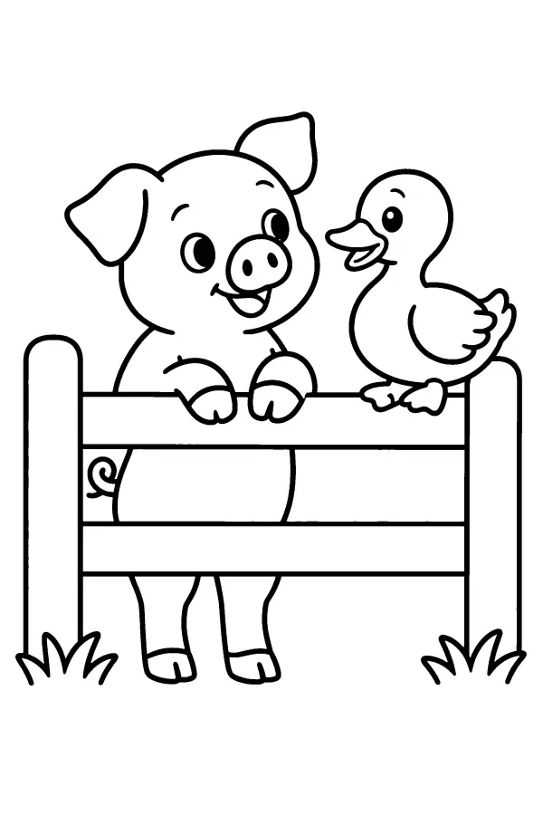 Pig And Duck Fence