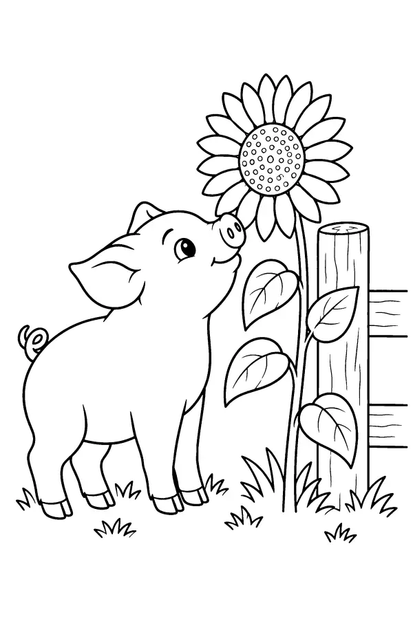 Pig And Sunflower