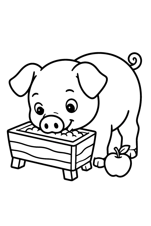 Pig At Trough