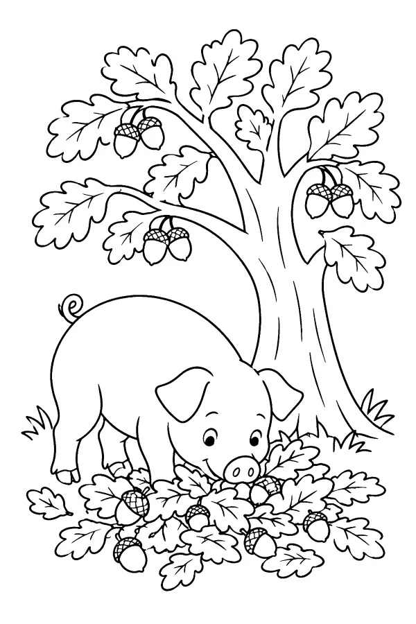 Pig Under Oak