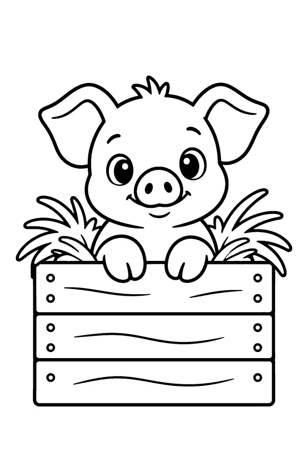 Piglet In Crate