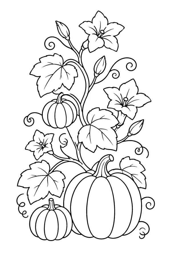 Flowering Pumpkin Vine