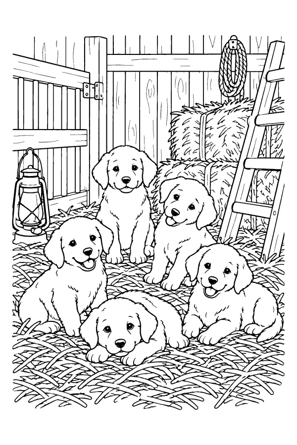 Barn Stall Puppies
