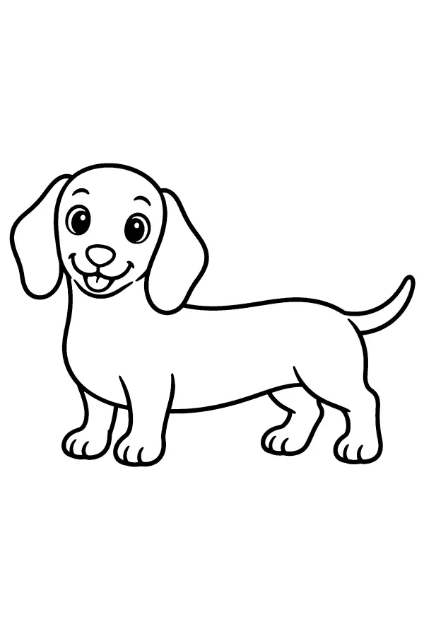 Dachshund Puppy
