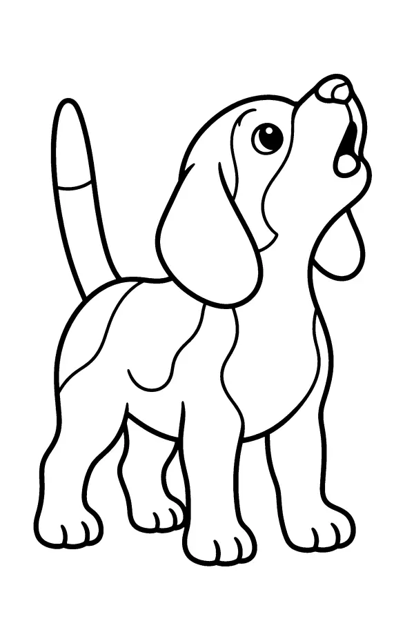 Howling Beagle Pup