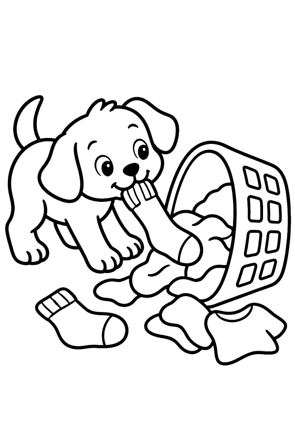 Puppy and Laundry Basket