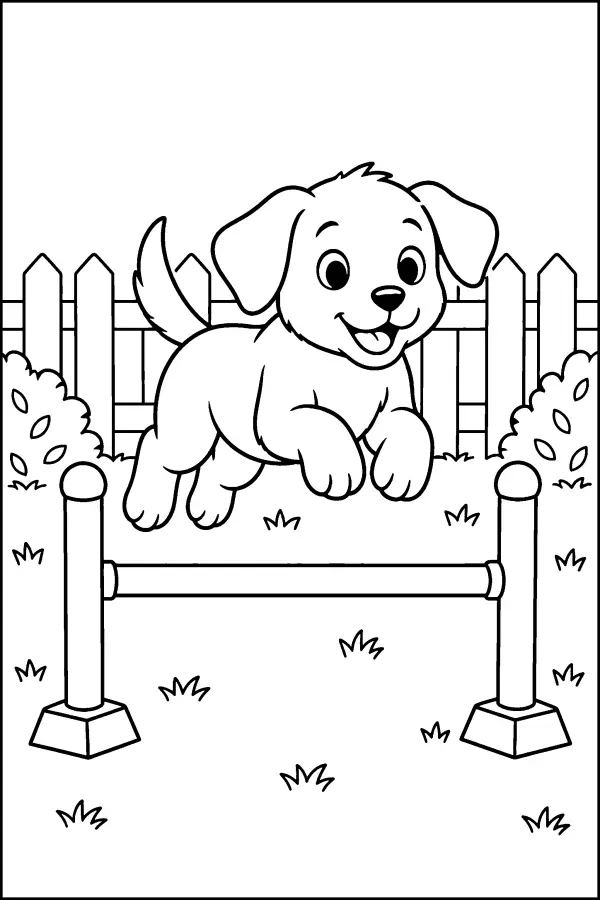 Puppy Jumping Fence