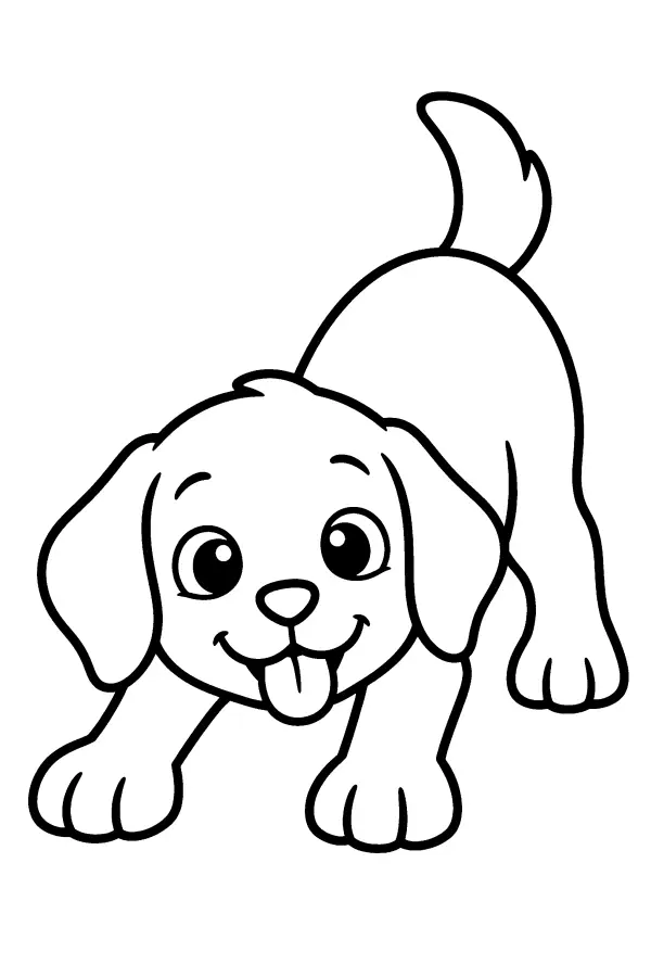 Puppy Play Bow