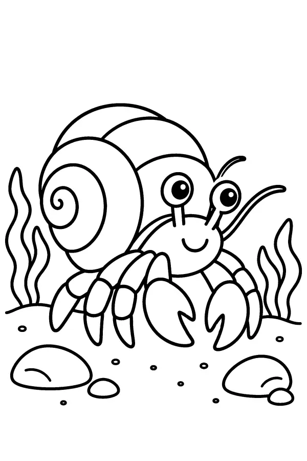 Hermit Crab Crossing