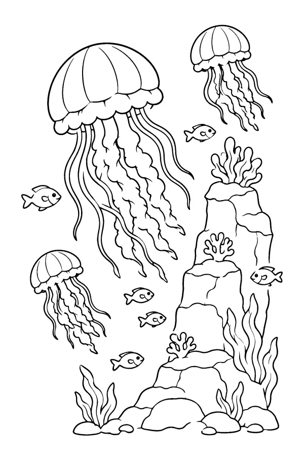 Jellyfish At The Reef