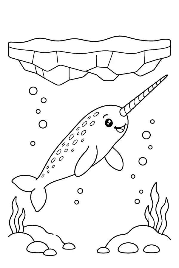 Narwhal Under Ice