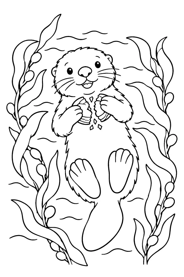Otter Shell Float