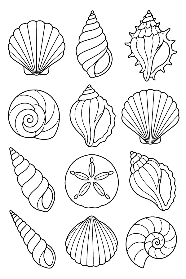 Shell Variety Grid