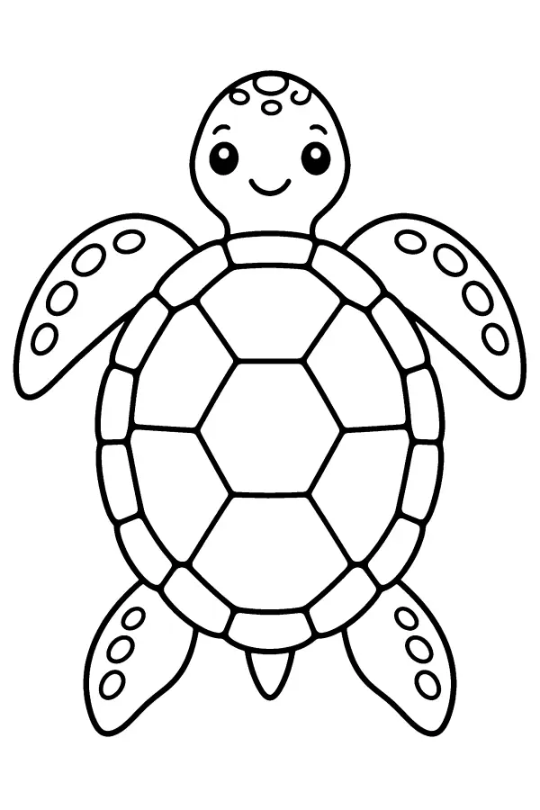 Smiling Sea Turtle