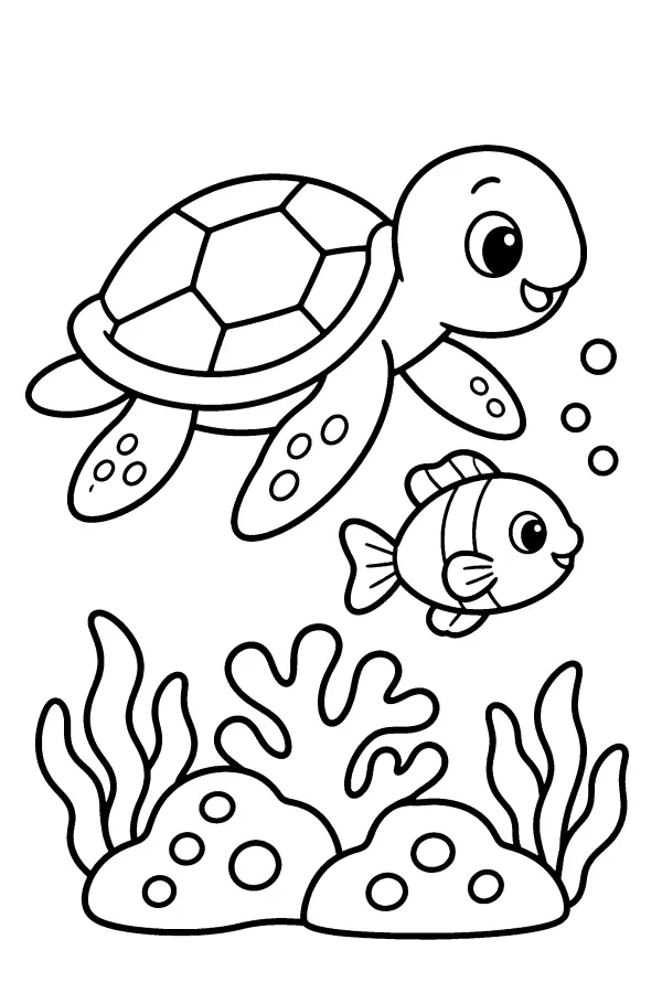 Turtle and Fish