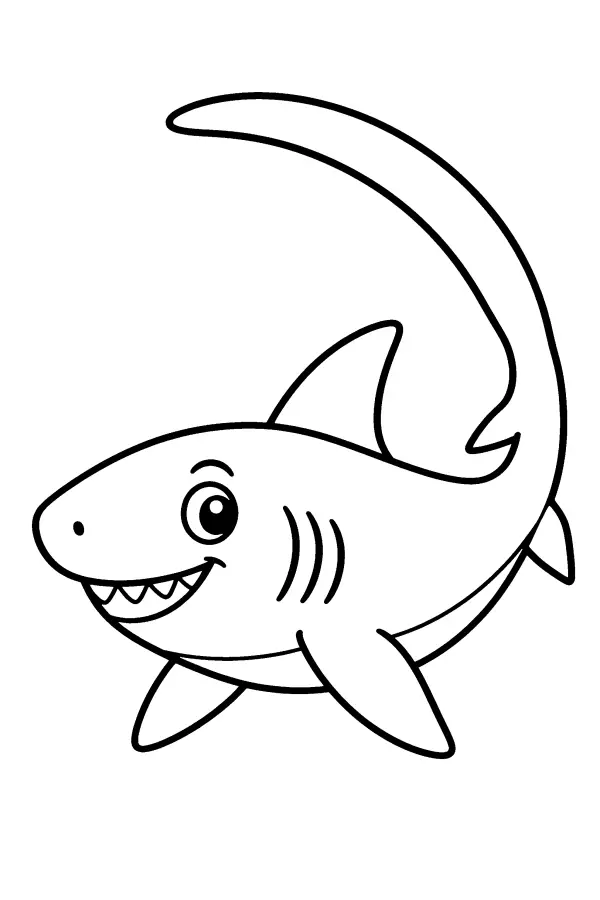 Curved Tail Shark
