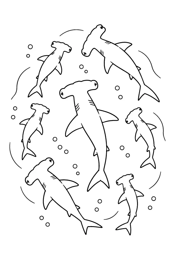 Hammerhead Circle