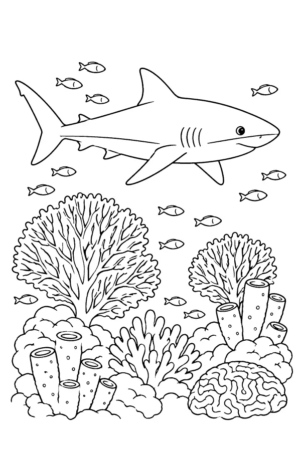 Reef Shark Drift